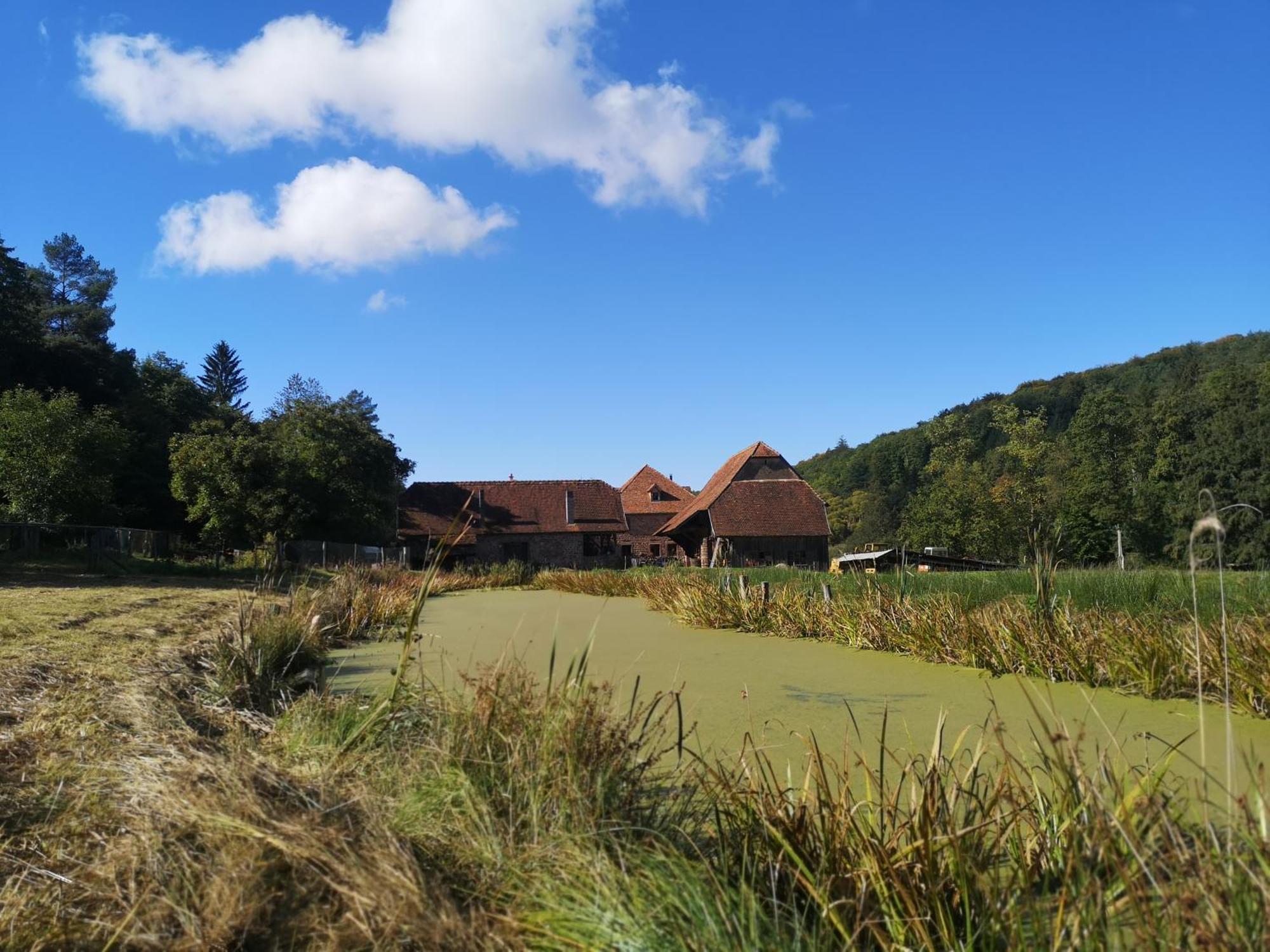 Maison D'Hotes De Charme - Ancien Moulin En Pleine Nature - La Paulusmuehle Soucht ภายนอก รูปภาพ