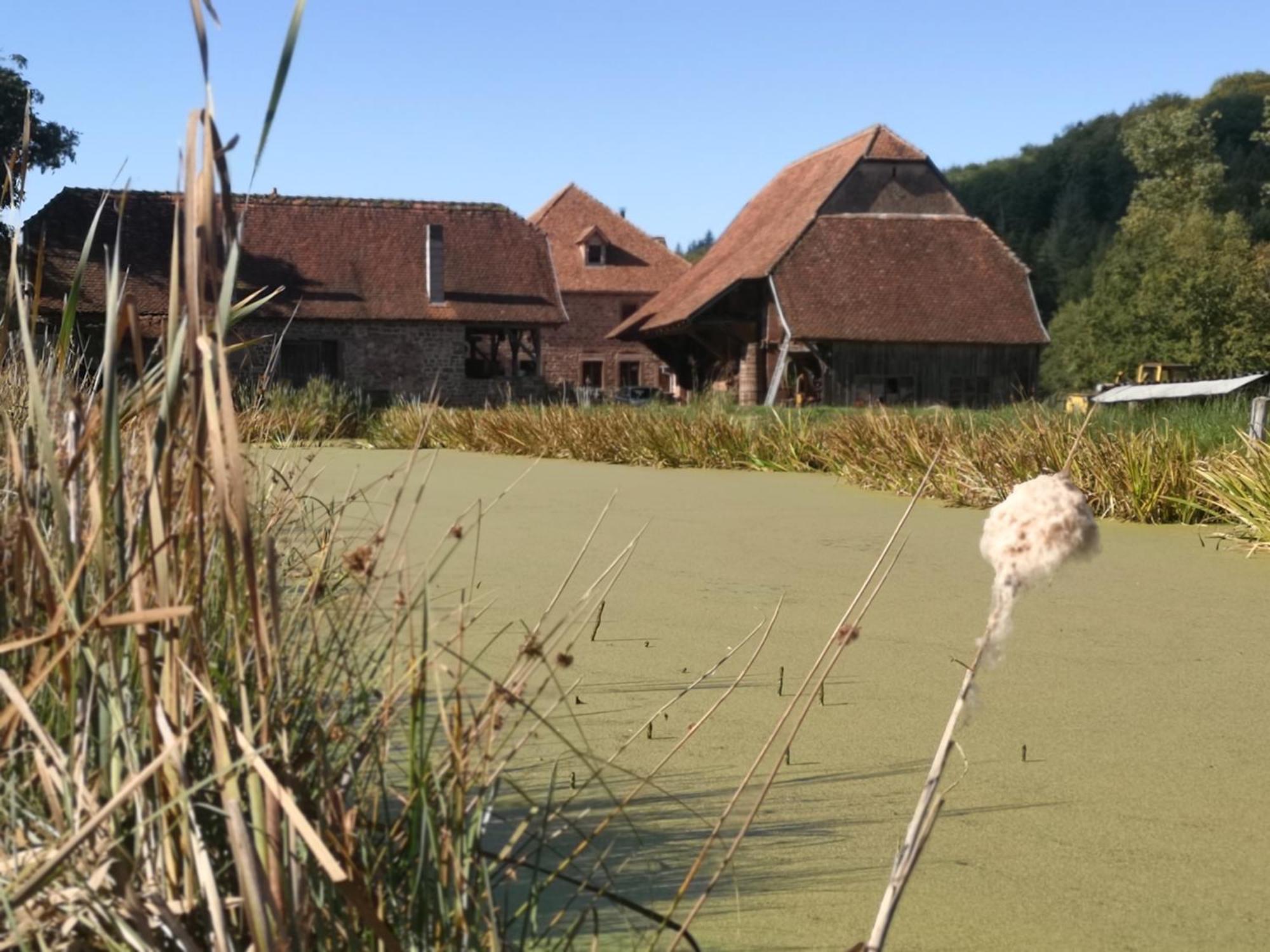 Maison D'Hotes De Charme - Ancien Moulin En Pleine Nature - La Paulusmuehle Soucht ภายนอก รูปภาพ