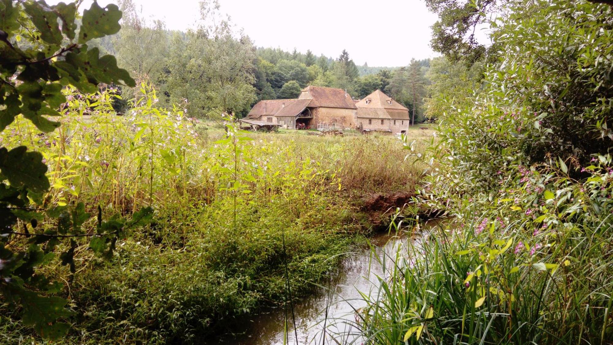 Maison D'Hotes De Charme - Ancien Moulin En Pleine Nature - La Paulusmuehle Soucht ภายนอก รูปภาพ