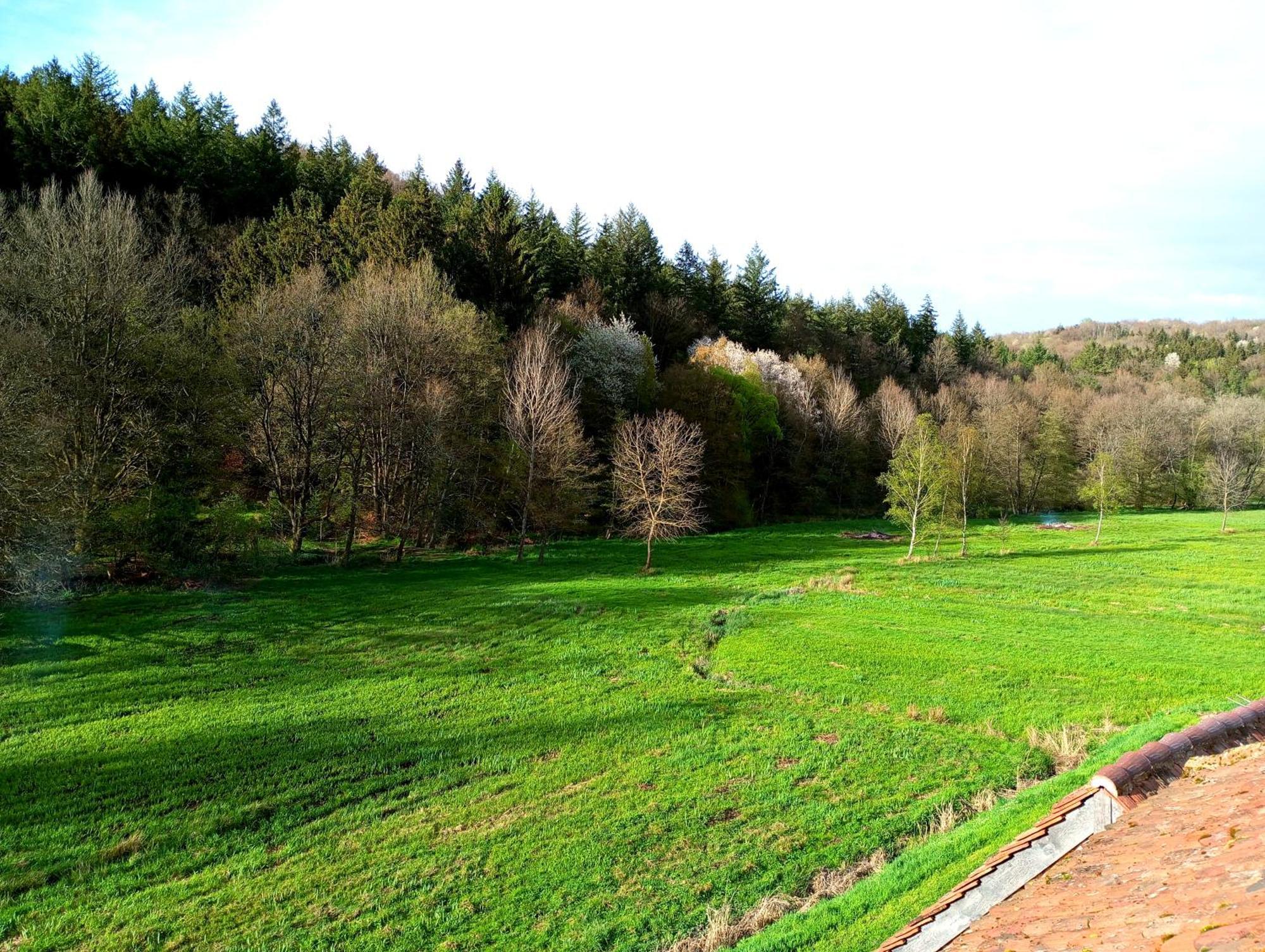 Maison D'Hotes De Charme - Ancien Moulin En Pleine Nature - La Paulusmuehle Soucht ภายนอก รูปภาพ