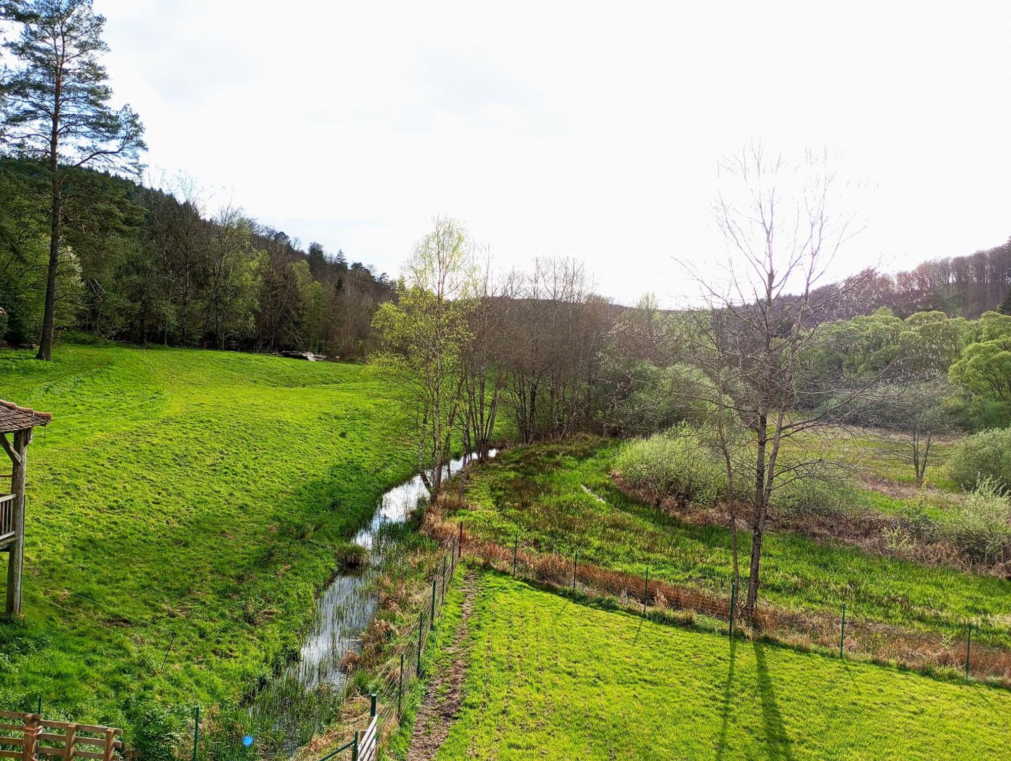 Maison D'Hotes De Charme - Ancien Moulin En Pleine Nature - La Paulusmuehle Soucht ภายนอก รูปภาพ
