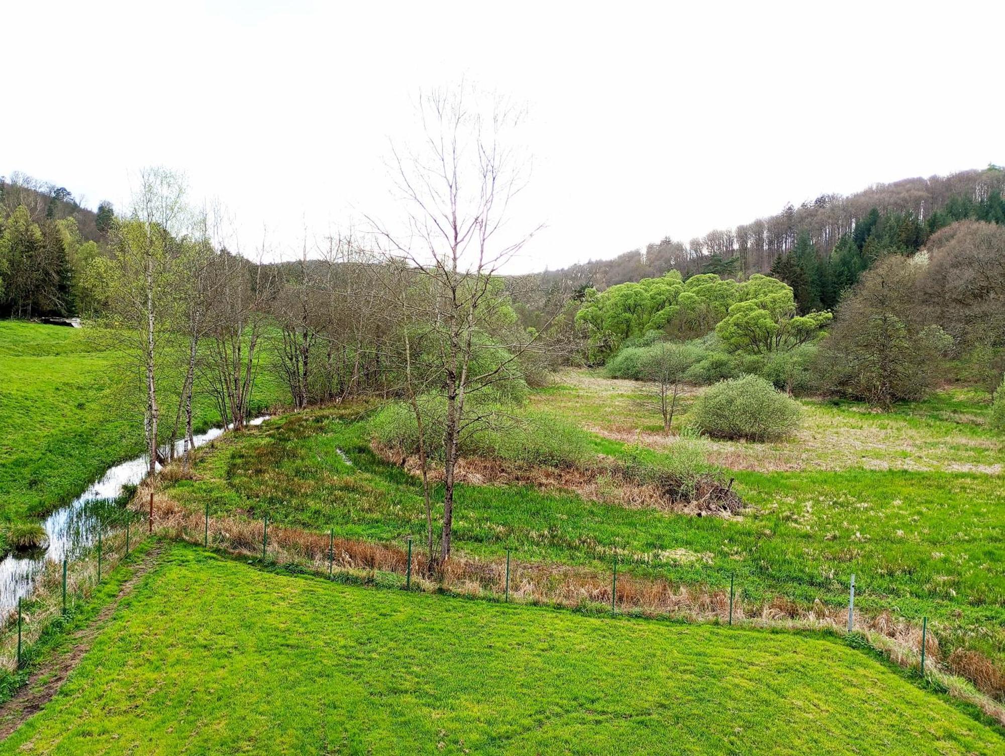 Maison D'Hotes De Charme - Ancien Moulin En Pleine Nature - La Paulusmuehle Soucht ภายนอก รูปภาพ