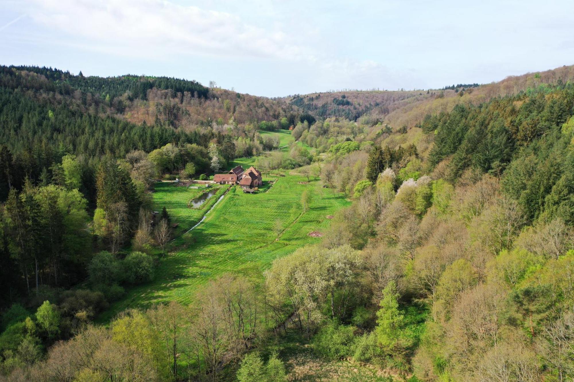 Maison D'Hotes De Charme - Ancien Moulin En Pleine Nature - La Paulusmuehle Soucht ภายนอก รูปภาพ